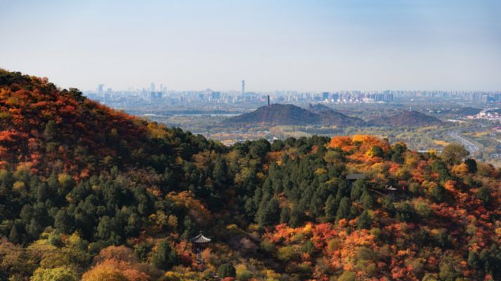 天津全玻幕墙施工队电话地址是多少（天津全玻幕墙施工队有哪些问题？） 北京钢结构设计问答