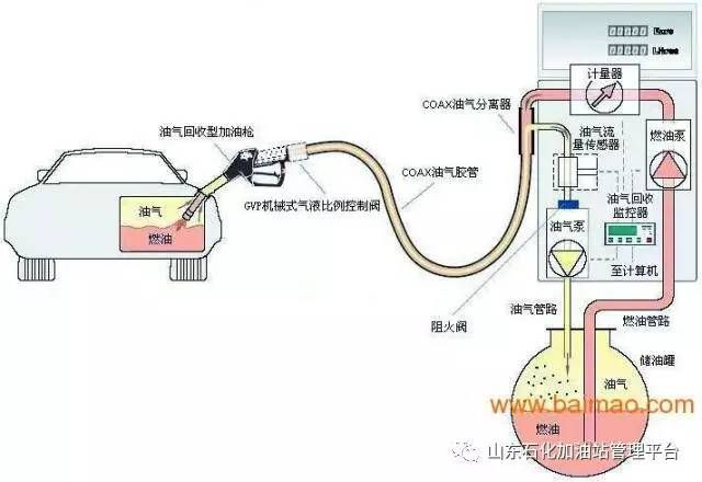 学校的设计使用年限是多少（学校的建筑设计使用年限通常是多久学校的设计使用年限是多久）