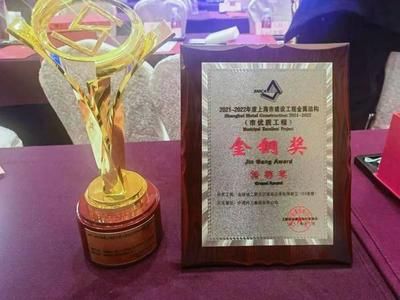 钢结构金刚奖评审 钢结构跳台施工 第4张