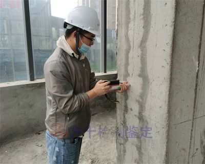 园林绿化管理与养护内容包括（关于园林绿化管理与养护的疑问）
