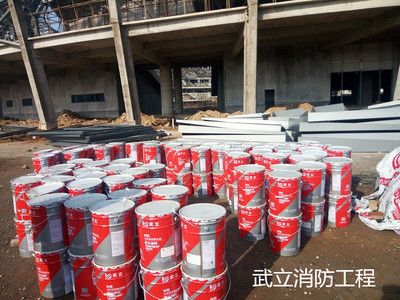 加油站钢构防火涂料(加油站钢构防火涂料品牌推荐) 结构工业装备设计 第4张 加油站钢构防火涂料(加油站钢构防火涂料品牌推荐) 结构工业装备设计 第4张