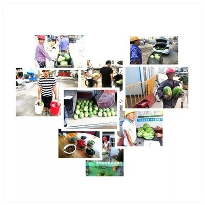钢结构厂房消防水电包工包料多少钱一平方(钢结构厂房消防水电包工包料价格) 建筑消防设计 第1张 钢结构厂房消防水电包工包料多少钱一平方(钢结构厂房消防水电包工包料价格) 建筑消防设计 第1张