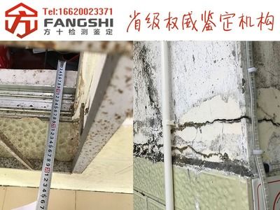 承重墙评估公司有哪些部门(关于承重墙的评估) 钢结构蹦极施工 第4张 承重墙评估公司有哪些部门(关于承重墙的评估) 钢结构蹦极施工 第4张