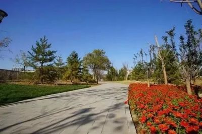 北京城建工程机械厂怎么样 钢结构钢结构停车场施工 第5张
