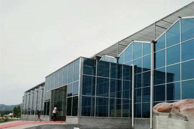 钢结构餐厅造价 结构框架设计 第3张 钢结构餐厅造价 结构框架设计 第3张