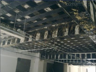 钢结构改造施工方案(钢结构改造施工方案示例) 结构电力行业施工 第5张 钢结构改造施工方案(钢结构改造施工方案示例) 结构电力行业施工 第5张