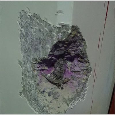 承重墙评估公司有哪些项目(承重墙评估公司提供的服务项目) 结构地下室施工 第5张 承重墙评估公司有哪些项目(承重墙评估公司提供的服务项目) 结构地下室施工 第5张