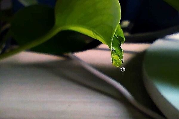 承重墙拆除鉴定报告 结构机械钢结构施工 第5张 承重墙拆除鉴定报告 结构机械钢结构施工 第5张