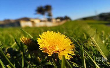 一层楼别墅设计效果图田园风格图片(田园风格别墅在空间规划上有哪些创新之处) 北京钢结构设计问答 一层楼别墅设计效果图田园风格图片(田园风格别墅在空间规划上有哪些创新之处) 北京钢结构设计问答