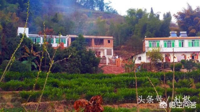 房子加顶(农村自建房加顶指南,加顶施工中的安全防护措施) 钢结构蹦极施工 第1张 房子加顶(农村自建房加顶指南,加顶施工中的安全防护措施) 钢结构蹦极施工 第1张