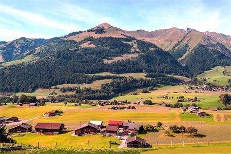 园林资格证书（园林资格证书是从事园林绿化、园艺设计、景观规划等工作必备资质） 北京钢结构设计问答