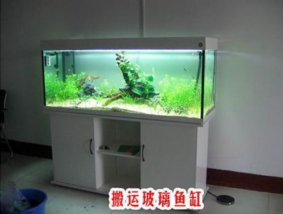 搬鱼缸找什么公司搬家 结构工业钢结构施工 第2张 搬鱼缸找什么公司搬家 结构工业钢结构施工 第2张