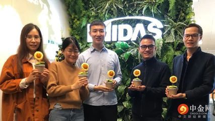 迈达斯是做什么的 结构桥梁钢结构设计 第4张 迈达斯是做什么的 结构桥梁钢结构设计 第4张