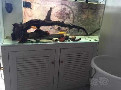 专业搬鱼缸的如何收费(专业搬鱼缸收费标准) 建筑施工图设计 第2张 专业搬鱼缸的如何收费(专业搬鱼缸收费标准) 建筑施工图设计 第2张