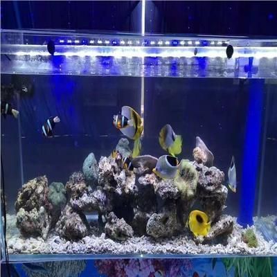 专业搬鱼缸的如何收费(专业搬鱼缸收费标准) 建筑施工图设计 第3张 专业搬鱼缸的如何收费(专业搬鱼缸收费标准) 建筑施工图设计 第3张