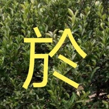 新手学看钢结构图纸的最快方法(钢结构图纸显示) 结构机械钢结构设计 第1张 新手学看钢结构图纸的最快方法(钢结构图纸显示) 结构机械钢结构设计 第1张