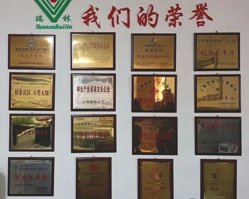 坤瑞集团董事长背景
