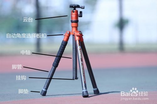 三角钢架结构图解(三角钢架结构在现代建筑中的创新运用) 钢结构蹦极施工 第1张 三角钢架结构图解(三角钢架结构在现代建筑中的创新运用) 钢结构蹦极施工 第1张
