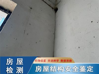 有限元基函数构造（有限元方法在解决结构力学问题时是如何应用的？） 北京钢结构设计问答