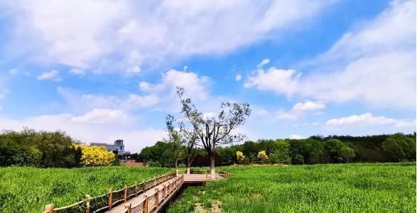 桁架展区中医 建筑效果图设计 第4张