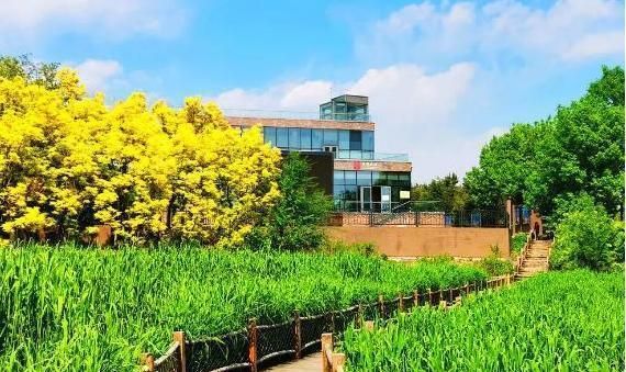 体育馆设计图及效果图大全图片（体育馆设计图和效果图大全） 北京钢结构设计问答