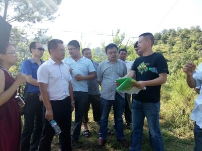 老人被别人忽悠签了光伏合同