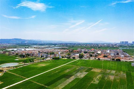 自建房地基下沉的标准是多少(自建房地基下沉的标准) 结构框架施工 第4张 自建房地基下沉的标准是多少(自建房地基下沉的标准) 结构框架施工 第4张