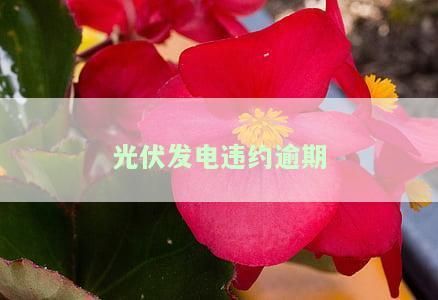 屋顶光伏合同期25年违约 钢结构蹦极设计 第2张