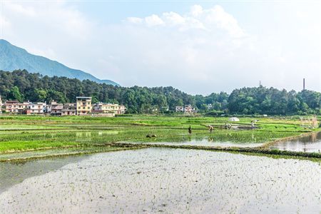 房子地基下沉怎么办前高后低会影响居住吗（地基下沉对水电管道影响） 钢结构门式钢架施工 第3张