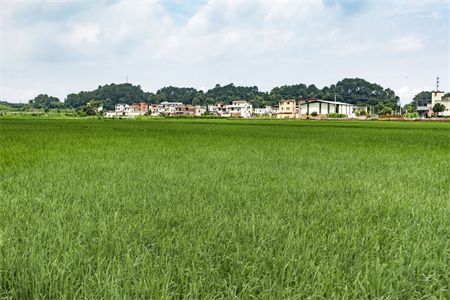 农村房屋地基沉降多少属正常 结构机械钢结构设计 第3张