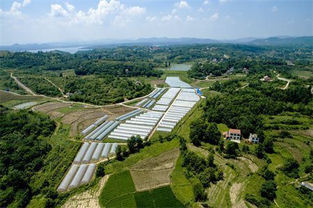 房子地基下沉怎么办视频(地基下沉自我检测方法) 结构机械钢结构施工 第5张 房子地基下沉怎么办视频(地基下沉自我检测方法) 结构机械钢结构施工 第5张