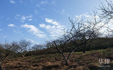 房屋地基下沉谁的责任（房屋地基下沉的责任归属）