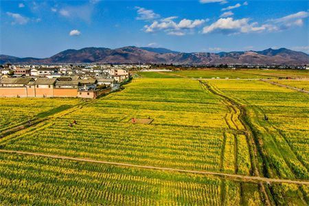 红砖承重墙加固方法有哪些（红砖承重墙加固方法）