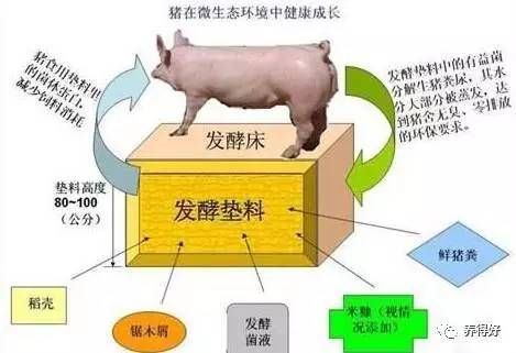 钢结构这门课的收获(钢结构的极限状态) 钢结构框架施工 第2张 钢结构这门课的收获(钢结构的极限状态) 钢结构框架施工 第2张