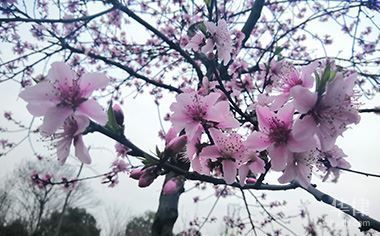 小区改造属于哪里管(小区改造主要由房地产行政主管部门或访问相关的政府网站) 结构机械钢结构设计 第5张 小区改造属于哪里管(小区改造主要由房地产行政主管部门或访问相关的政府网站) 结构机械钢结构设计 第5张