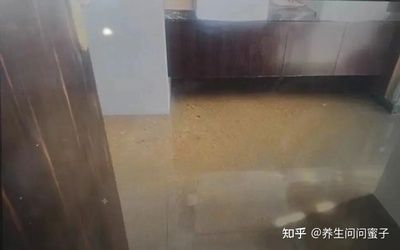 楼房修改下水管道怎么报备(在楼房中修改下水管道需要经过哪些流程) 结构机械钢结构施工 第3张 楼房修改下水管道怎么报备(在楼房中修改下水管道需要经过哪些流程) 结构机械钢结构施工 第3张