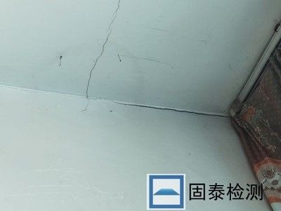 西藏建筑艺术丛书（西藏的建筑艺术在历史发展中有哪些显著特点之一） 北京钢结构设计问答