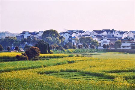 小区改造谁说了算(小区改造中常见问题及解决方案,小区改造居民如何提建议) 装饰家装设计 第3张 小区改造谁说了算(小区改造中常见问题及解决方案,小区改造居民如何提建议) 装饰家装设计 第3张