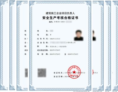 工程设计负责人资格要求依据什么规定（工程设计负责人的资格要求）