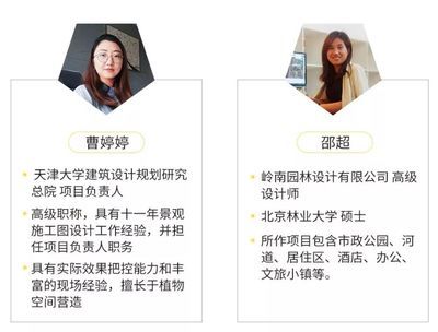 设计项目负责人职称（设计项目负责人的职称要求）