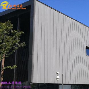 钢结构别墅屋面用什么型号的铝镁锰板 北京加固设计(加固设计公司) 第3张 钢结构别墅屋面用什么型号的铝镁锰板 北京加固设计(加固设计公司) 第3张