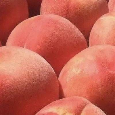 钢结构楼梯刷什么颜色好看 结构电力行业设计 第1张 钢结构楼梯刷什么颜色好看 结构电力行业设计 第1张