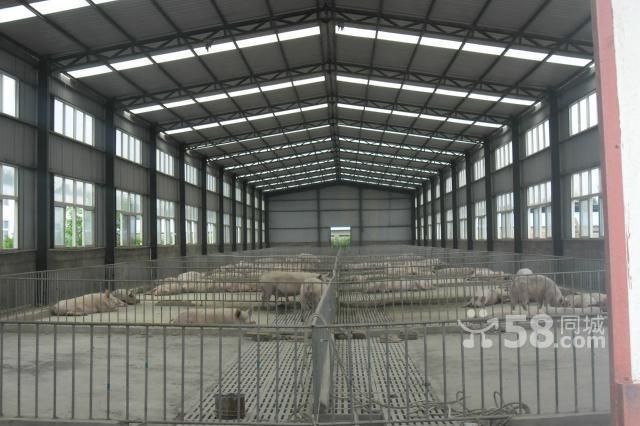 钢结构中xz是什么意思 全国钢结构厂 第2张