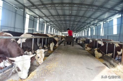 详细阅读:钢结构厂房的维护成本 钢结构厂房的维护成本