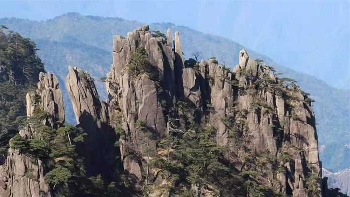 房屋加固公司资质查询方法(如何查询加固公司资质) 钢结构网架施工 第3张 房屋加固公司资质查询方法(如何查询加固公司资质) 钢结构网架施工 第3张