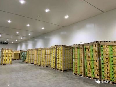 冷库材料多少钱一平方（冷库材料每平方价格受到多种因素的影响）
