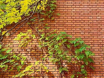 2020年北京红砖价格 钢结构门式钢架施工 第4张 2020年北京红砖价格 钢结构门式钢架施工 第4张