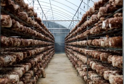 冷库用什么管子材料 建筑方案设计 第2张 冷库用什么管子材料 建筑方案设计 第2张