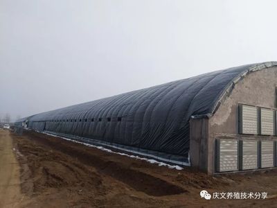 加固与新建的成本对比 北京加固施工 第3张