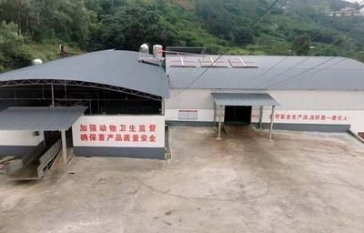 包钢特种钢管有限公司历史沿革(从“一炉铁”到“百种钢”) 结构框架施工 第5张 包钢特种钢管有限公司历史沿革(从“一炉铁”到“百种钢”) 结构框架施工 第5张